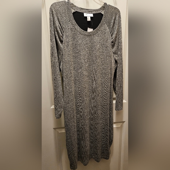 NWT Longsleeve lined Maternity dress - Picture 1 of 4